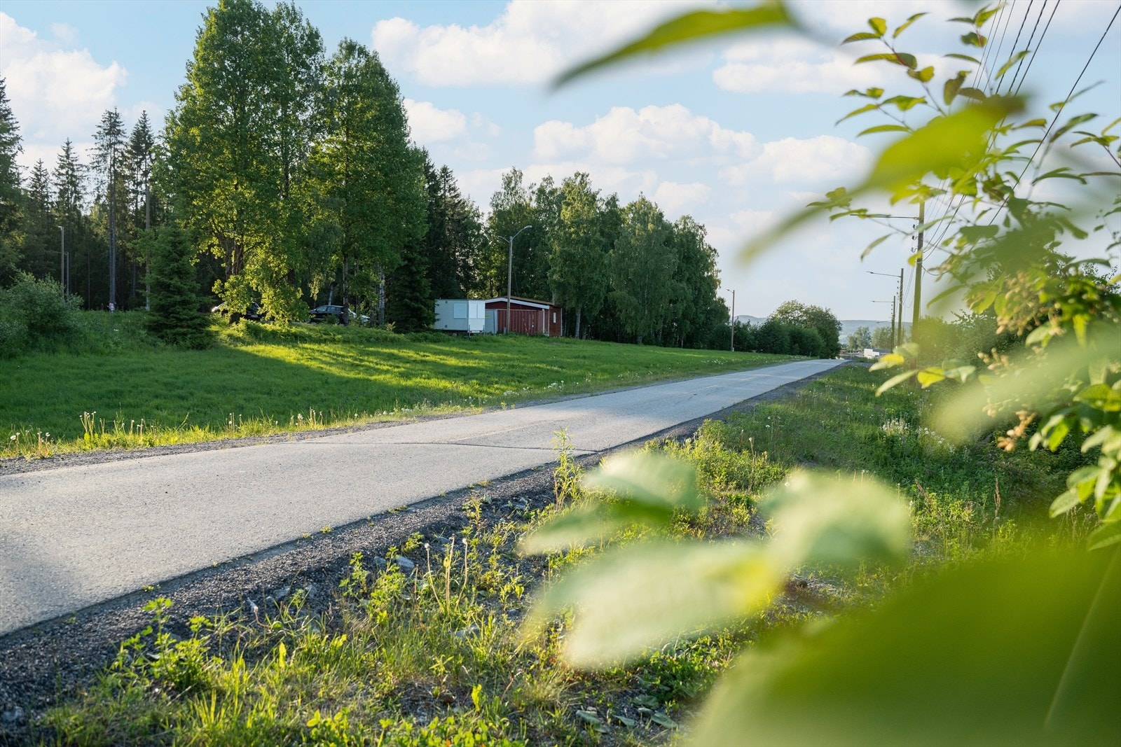 Fint turområde ved Bråteskogen. Galleribilde