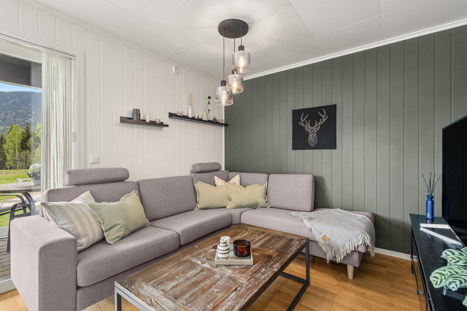 Stuen har god plass til sofa og tv-møblement. Galleribilde