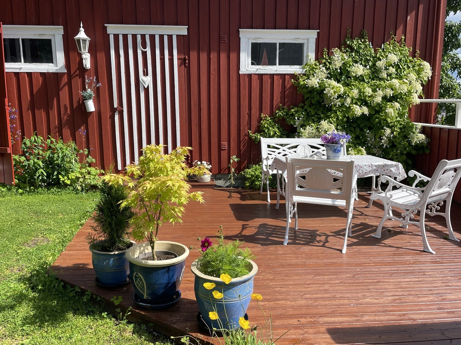 Sjarmerende og solrik uteplass ved uthuset Galleribilde