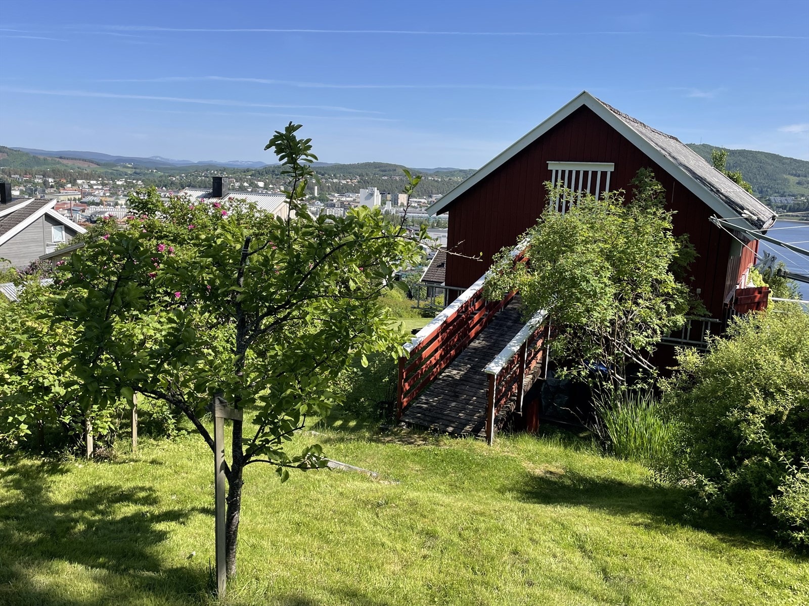 Uteområde ved låven med plommetre Galleribilde