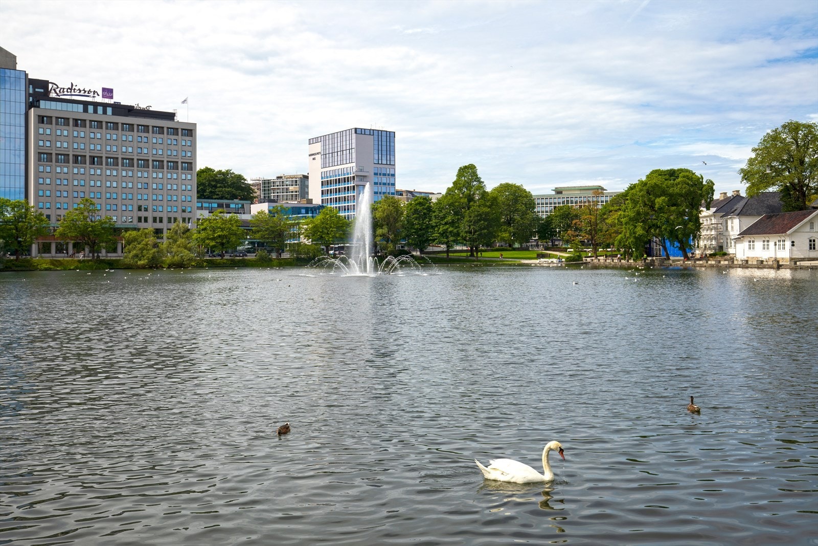 Nærområde Galleribilde
