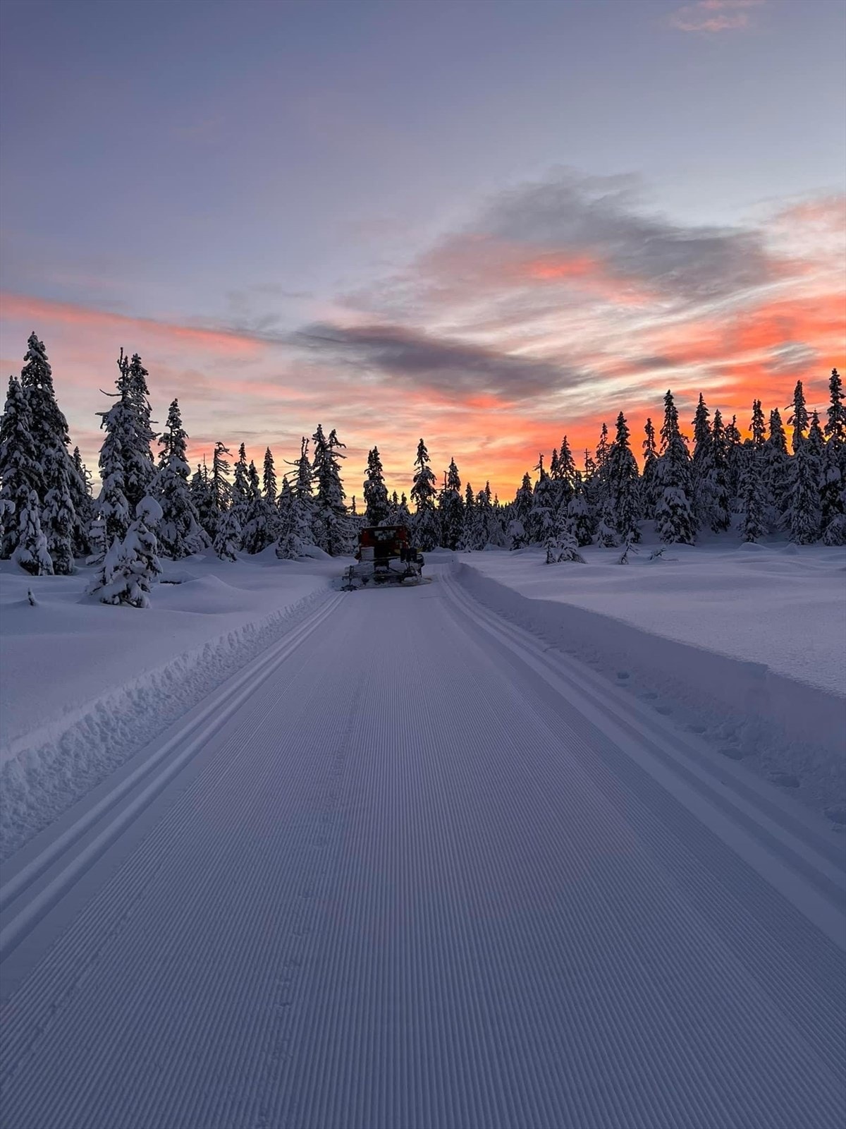 Vakre Nordåsen med flotte skiløyper. Kan benyttes sommer og vinter. Galleribilde