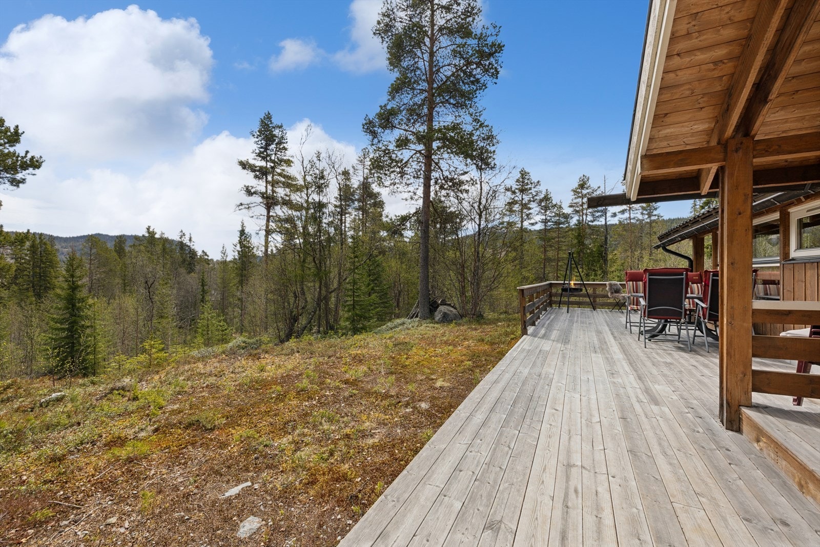 Naturen som nærmeste nabo. Galleribilde