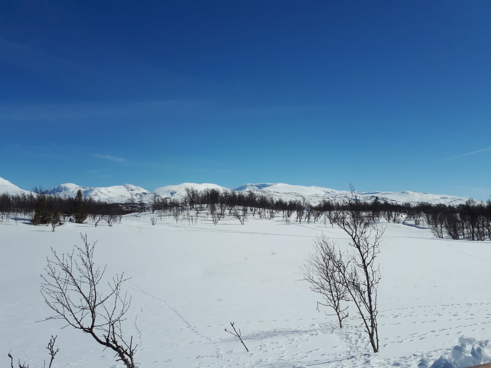 Utsikt til Sylan og Skardsfjella. Galleribilde