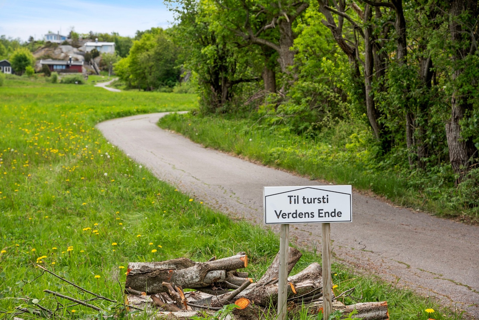 Flotte naturområder rett utenfor døra. Galleribilde