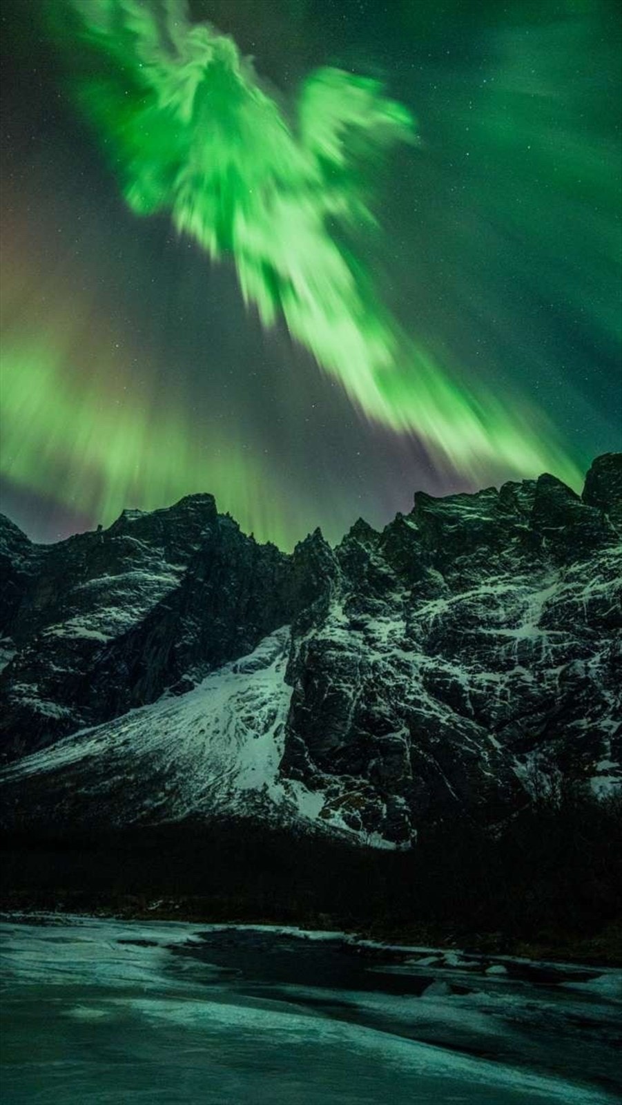 Bilde fra selger. Foto: Eivind Vollset Kristiansen Galleribilde