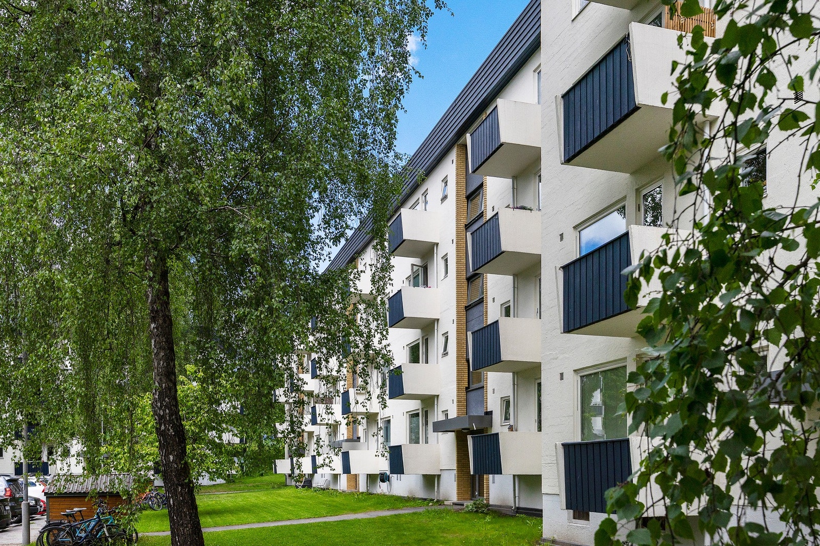 Velkommen til visning! Galleribilde
