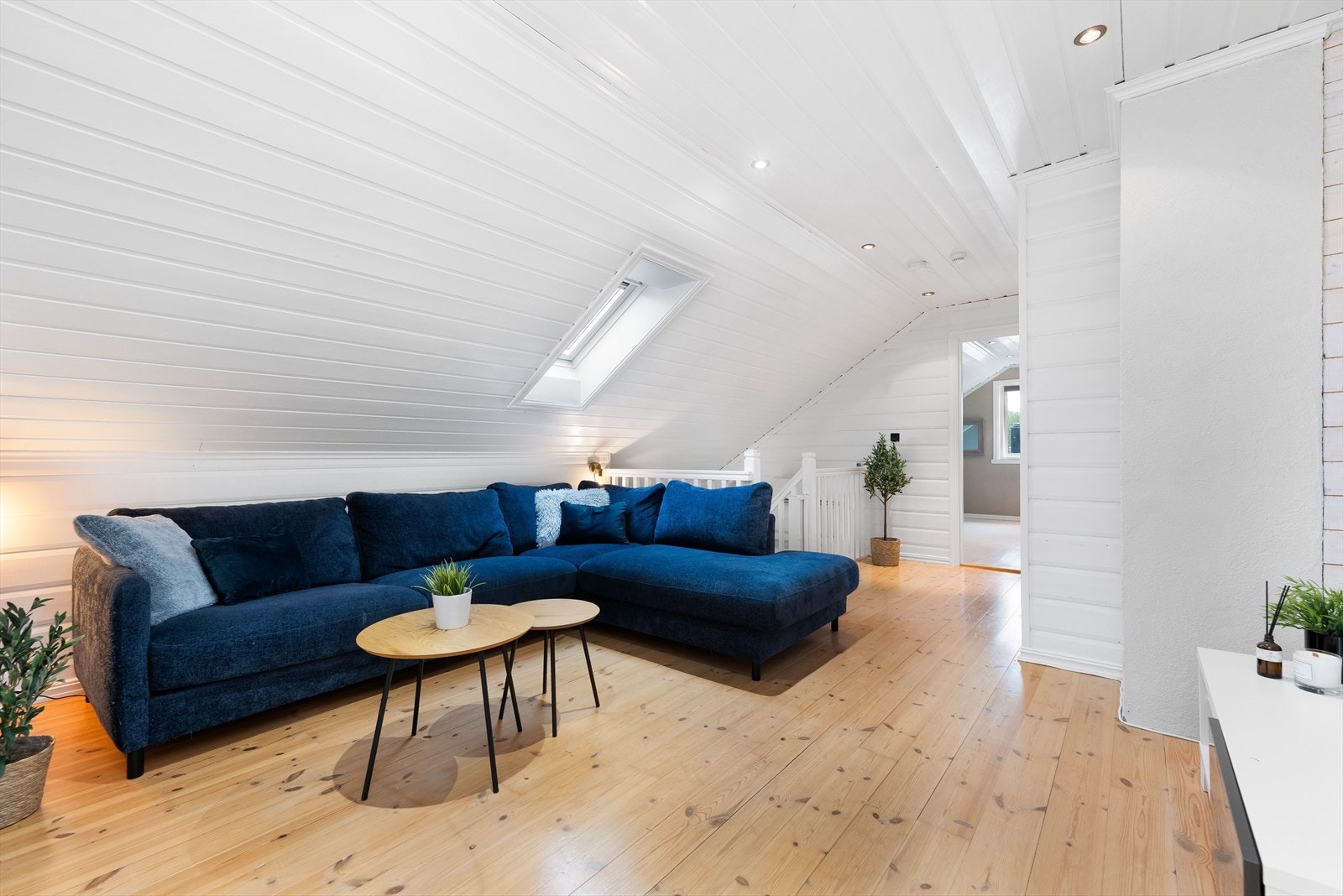 Flott loftstue med flere bruksområder Galleribilde