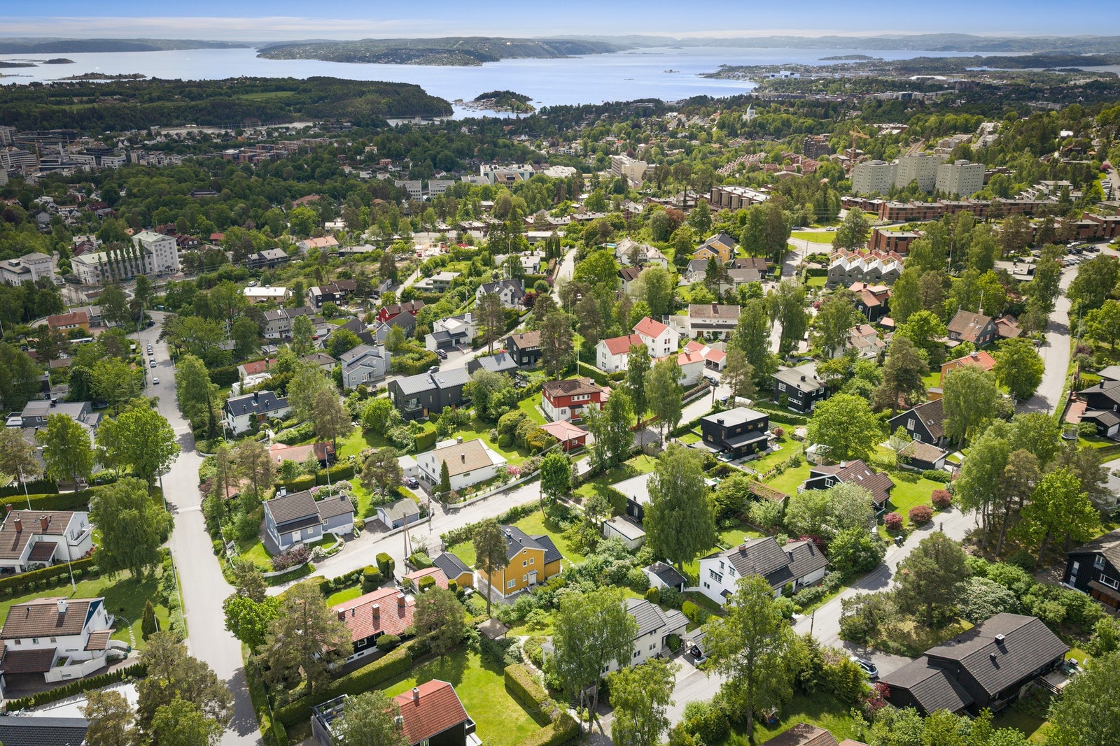 Frodig nabolag Galleribilde