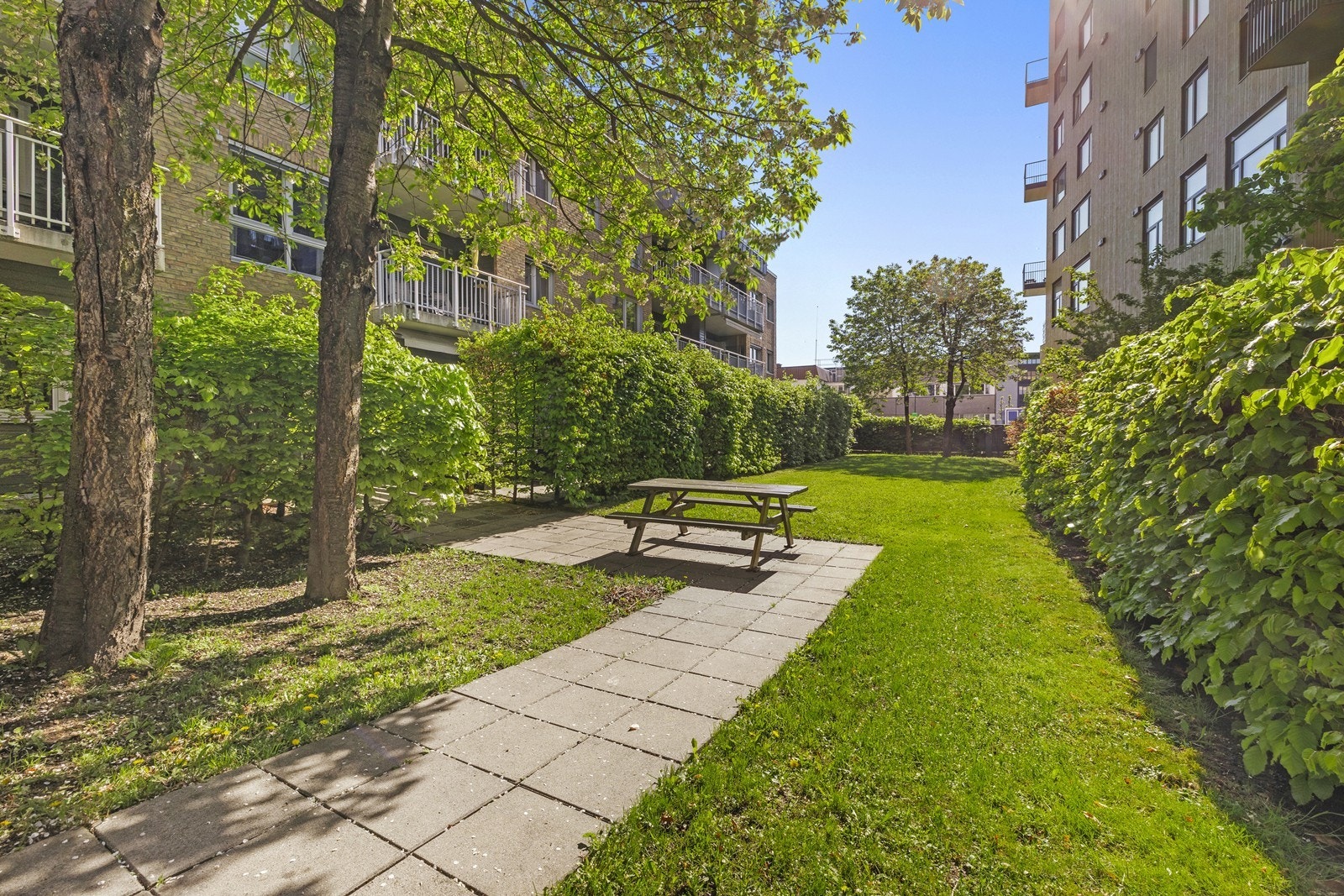 Felles uteområder med plen og sitteplasser er tilgjengelig for beboerne. Galleribilde