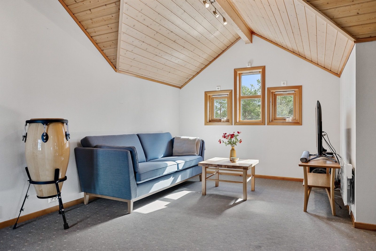 Her er det god plass til en sofagruppe og TV med tilhørende møblement. Galleribilde
