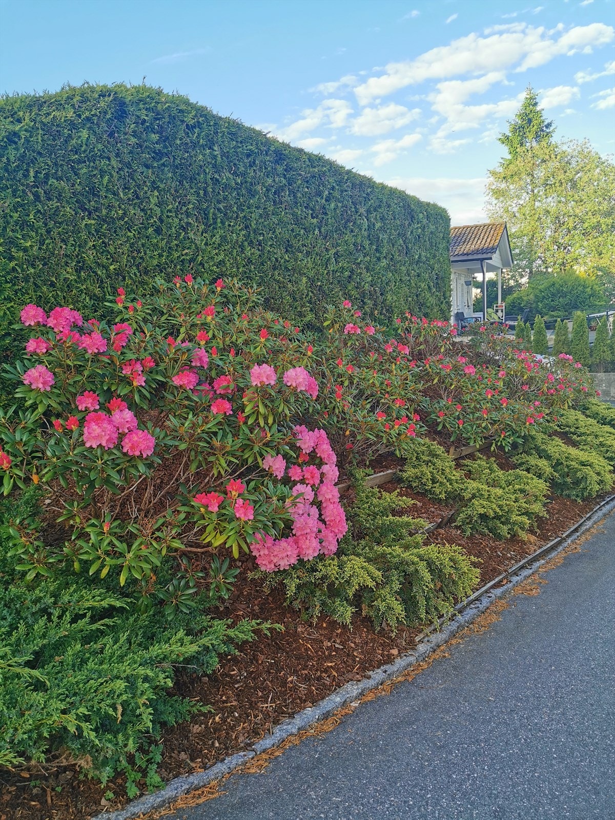 Detalj fra hage Galleribilde