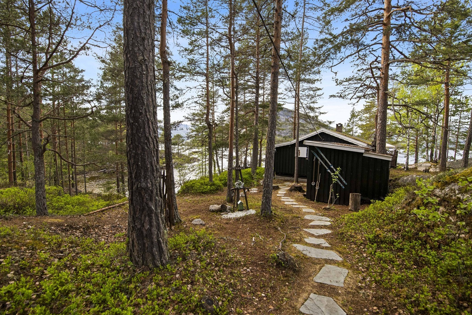 Sti gjennom skogen på egen tomt. Galleribilde