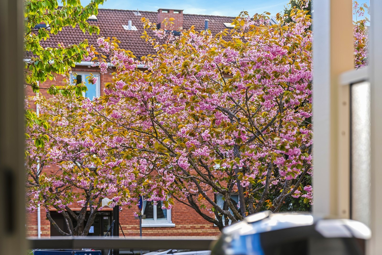 Blomstrende trær rammer inn utsikten fra leiligheten om våren. Galleribilde