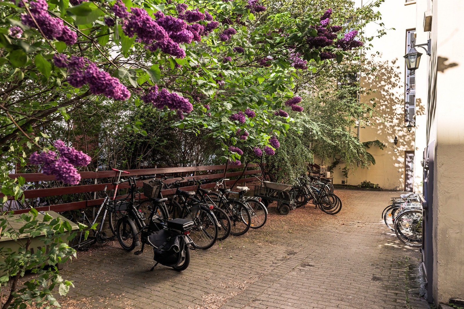 Praktisk sykkelparkering i bakgård. Galleribilde