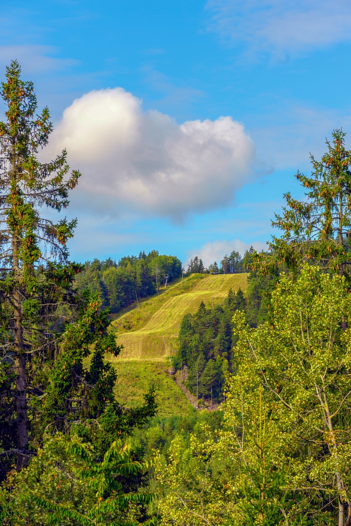 Grefsenkleiva. Foto i annonse: Ohshots Galleribilde