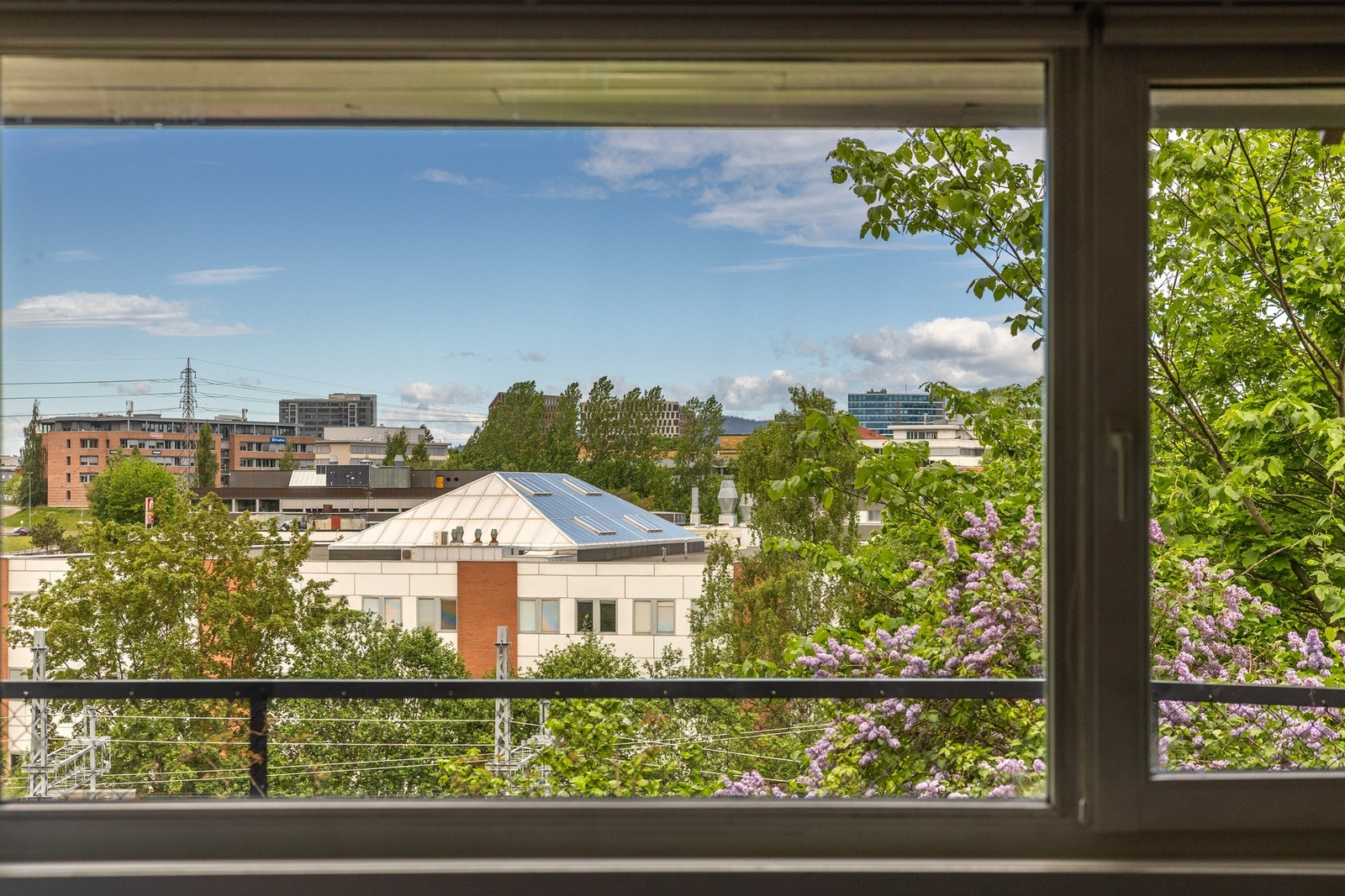 Flott utsikt over nærområdet. Galleribilde