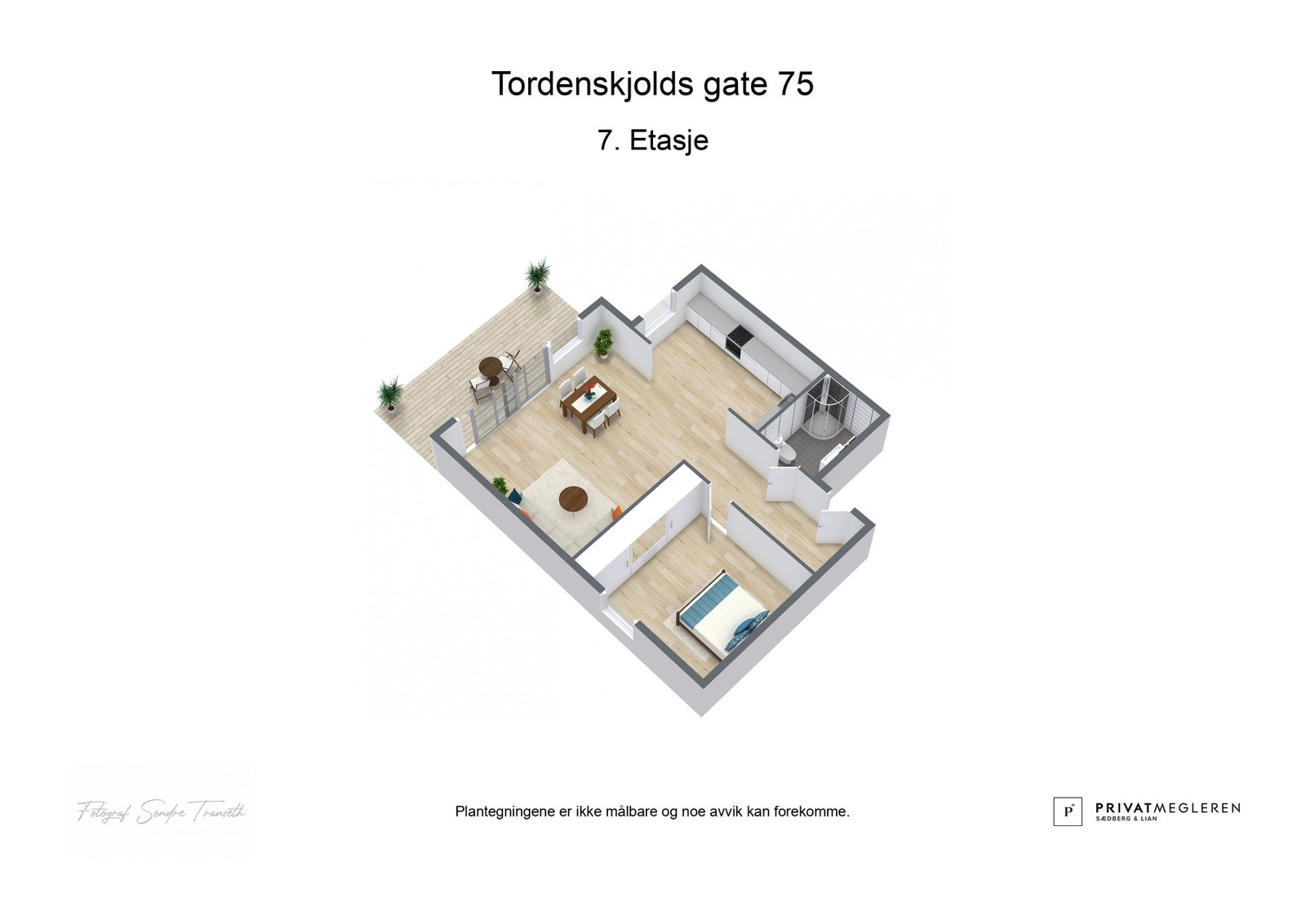 - 3D plantegning (ikke målbart) - Galleribilde