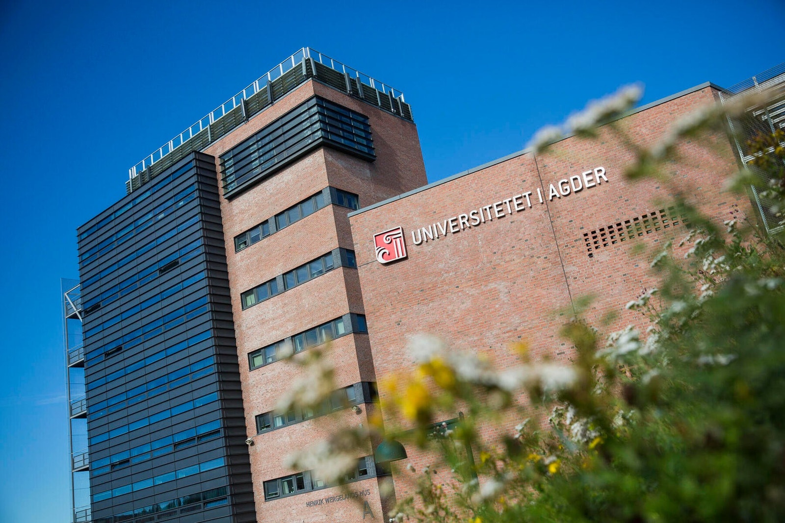 - Er du student, er det en kort gå/sykkeltur til UIA - Galleribilde
