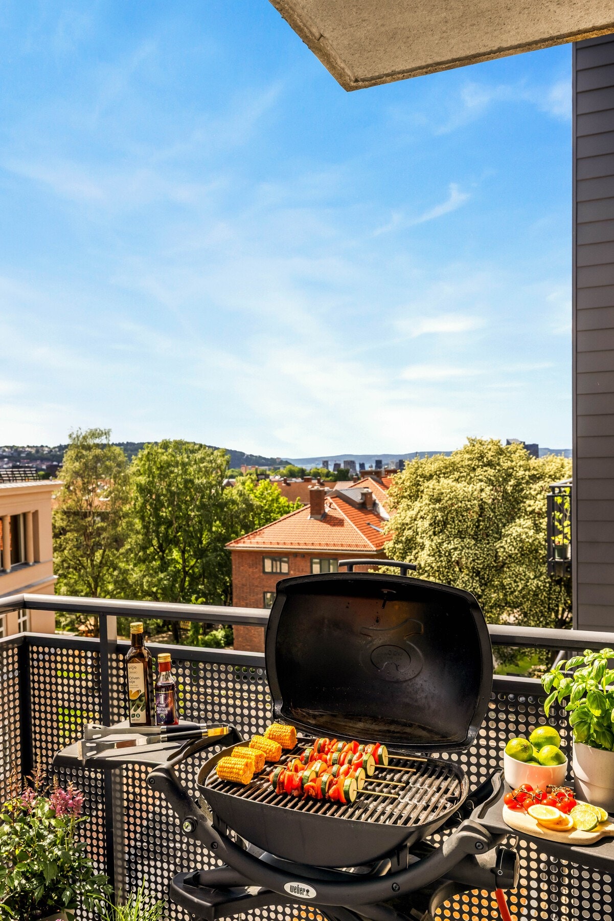 Magisk utsikt og noe godt på grillen, god sommer! Galleribilde