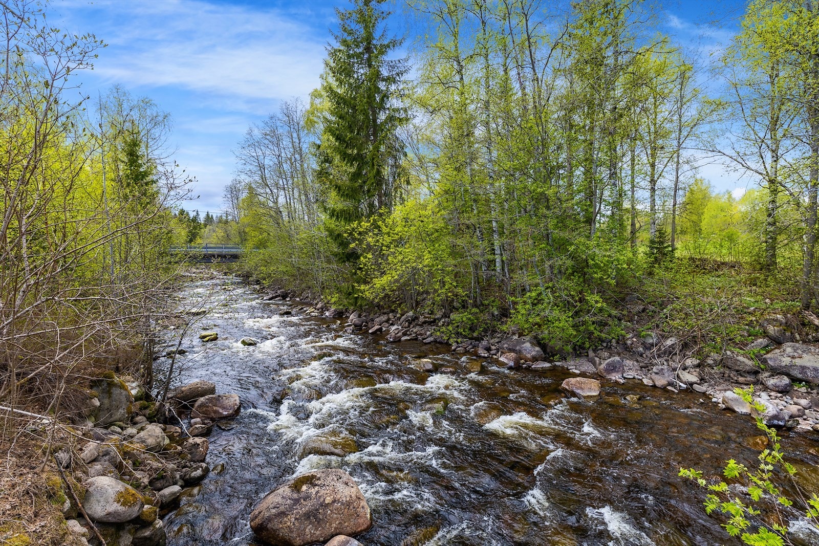 Nærområdet byr på flotte naturopplevelser, med elver og skog rett utenfor døren. Galleribilde