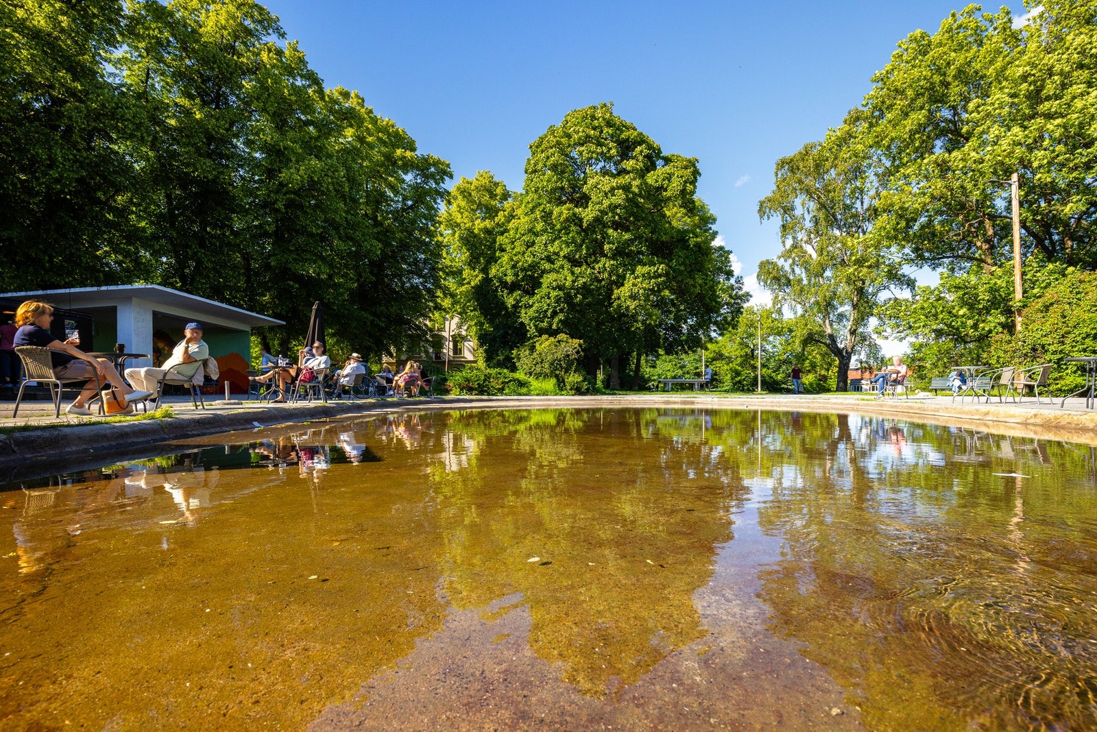 Områdebilde. Galleribilde