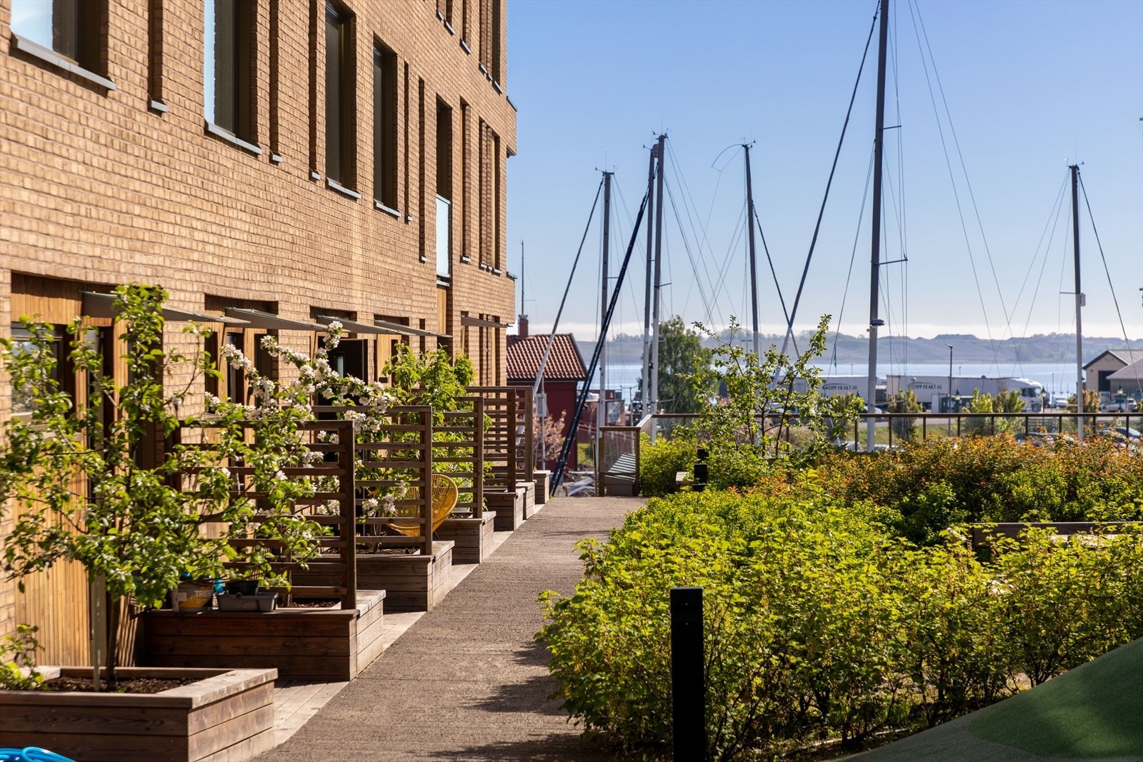 Velholdte fellesarealer med gangstier, beplantning og utsikt mot havnebassenget. Galleribilde