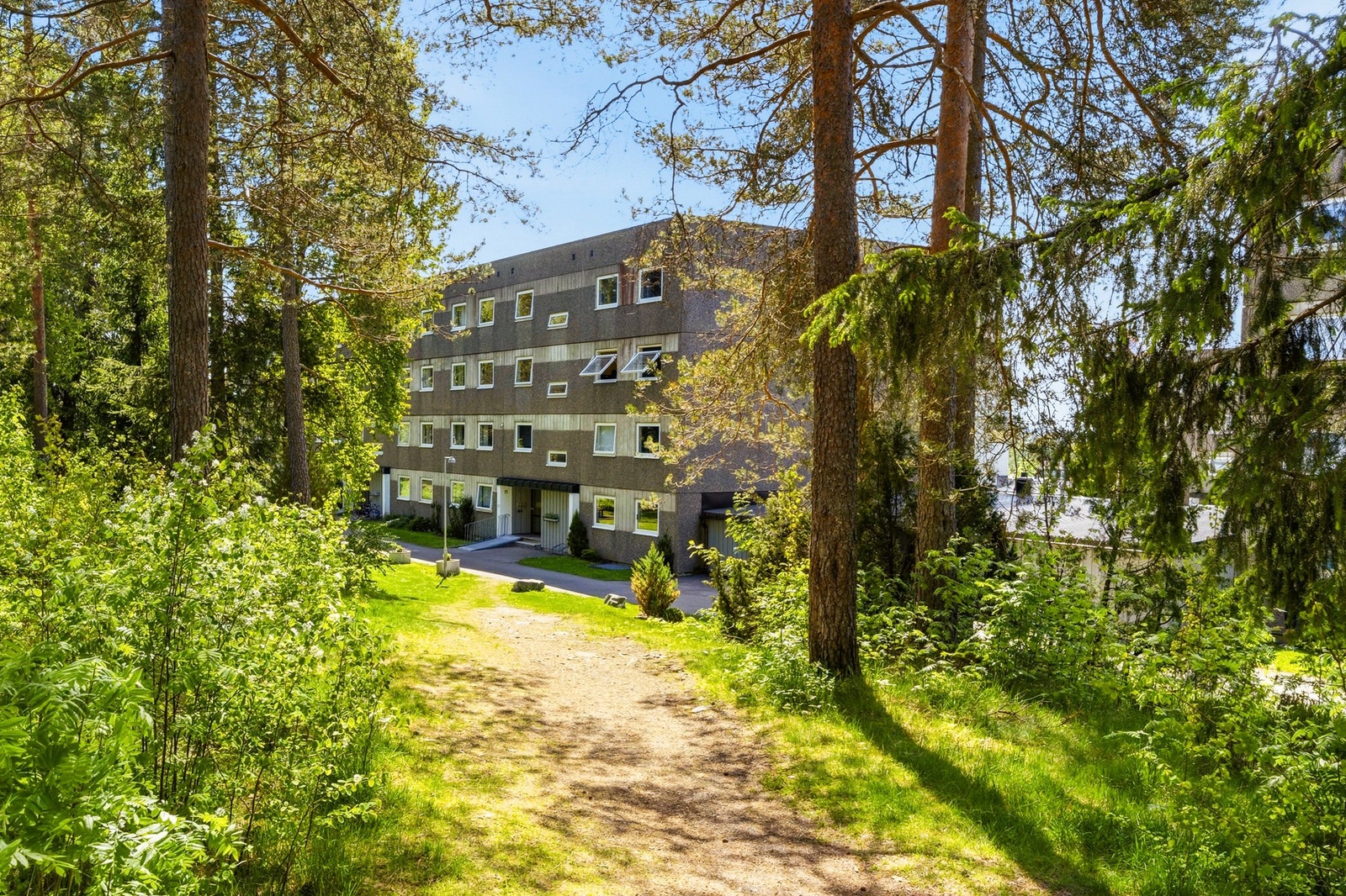 Skogen er nabo Galleribilde