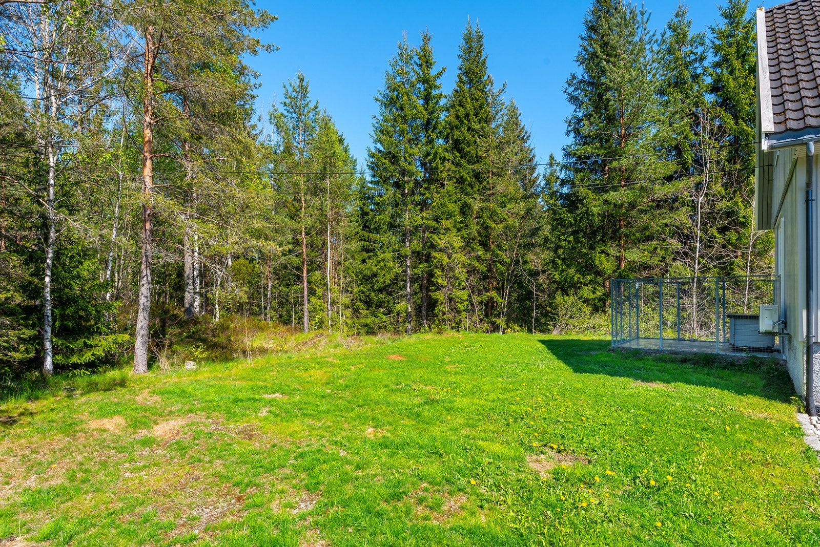 Plen areal som grenser til skogen. Galleribilde