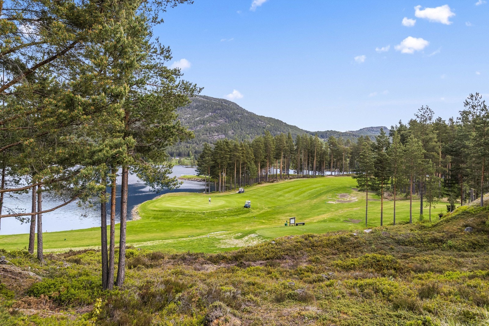 Vrådal Golfklubb er en 9-hulls bane, omtalt som en av Telemarks flotteste. Galleribilde