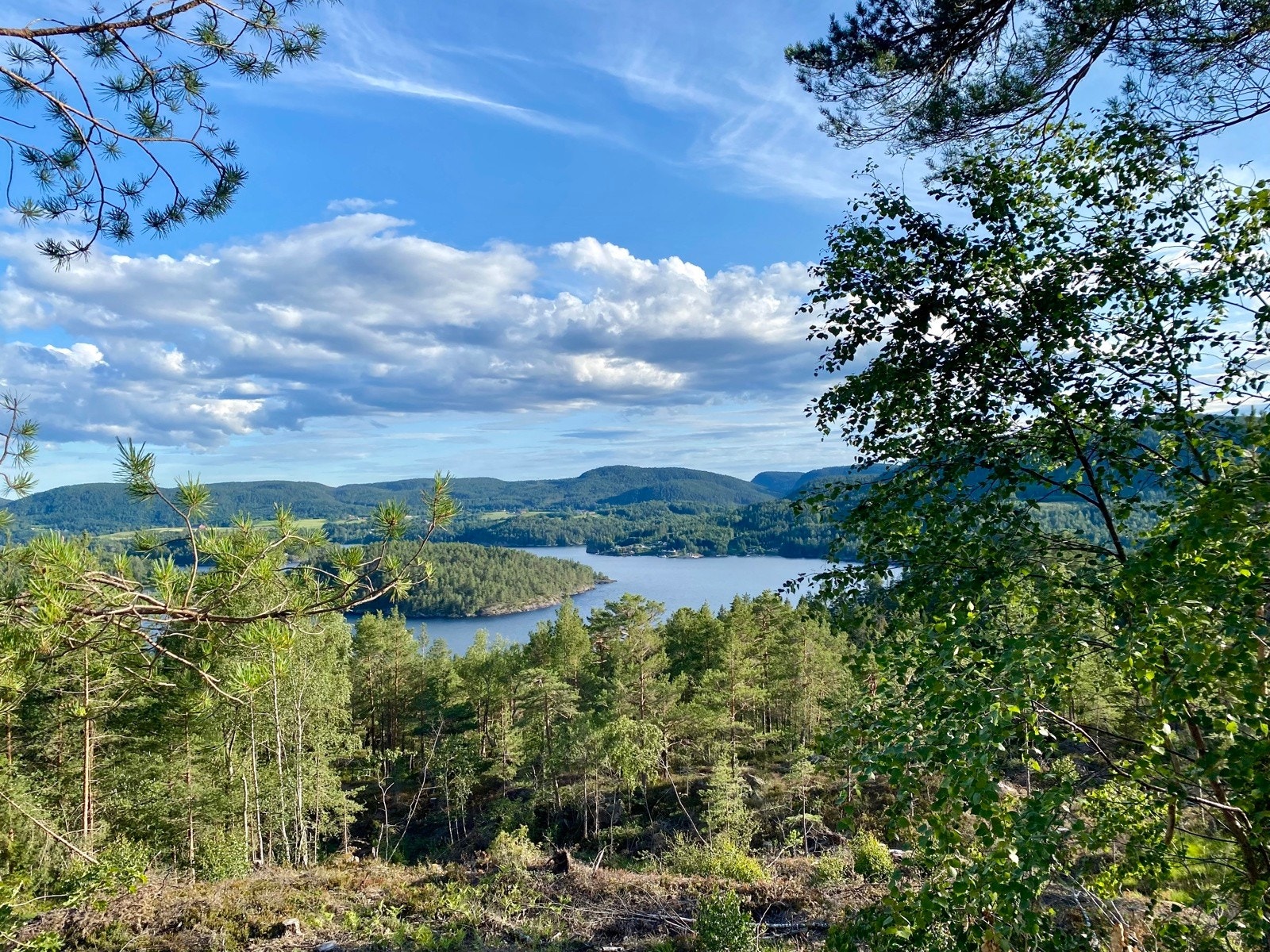 Nærmiljø: Utsikt mot Norsjø på stien mot Mikaelshula Galleribilde