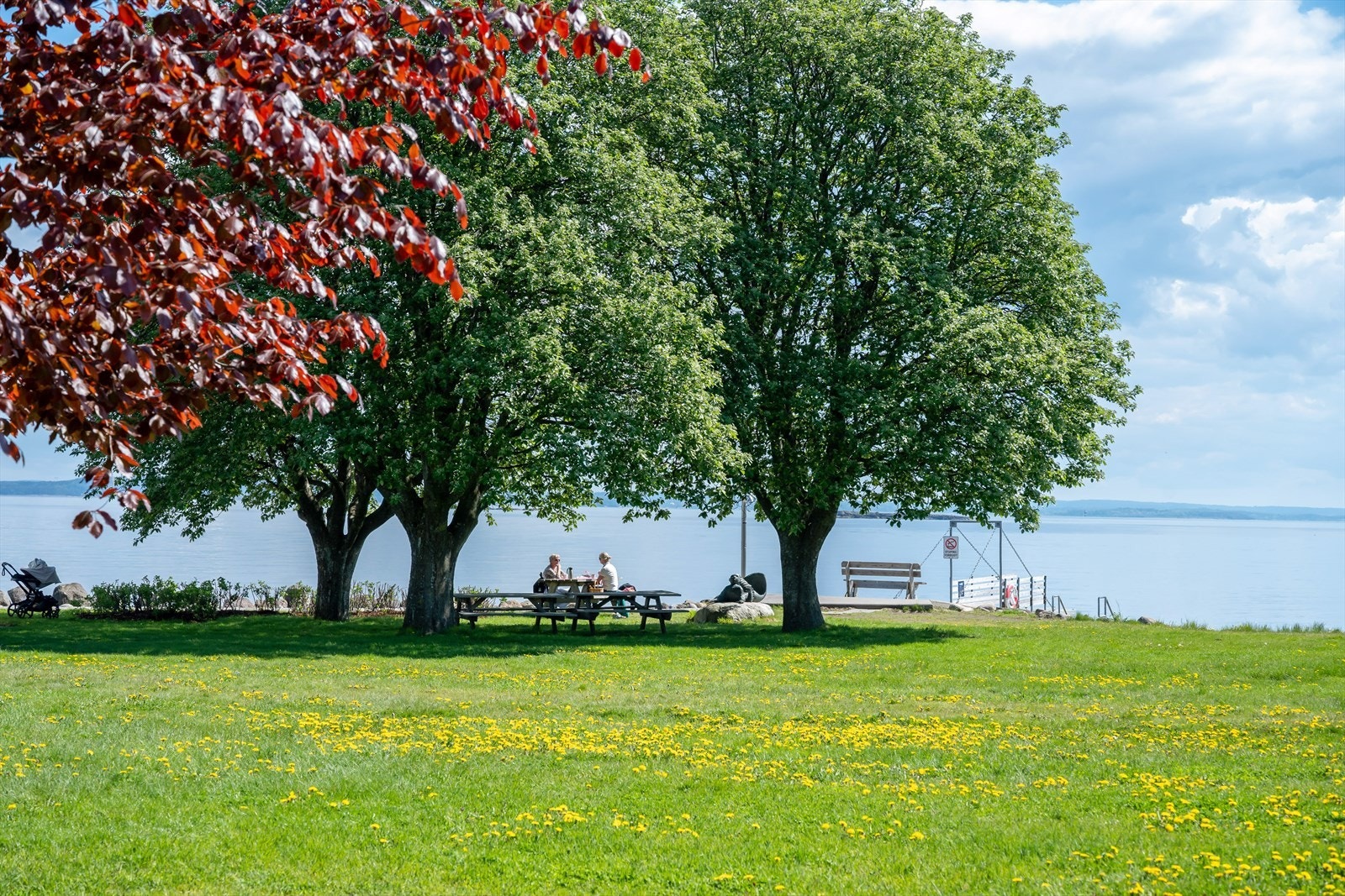 Her kan lange sommerdager nytes! Galleribilde