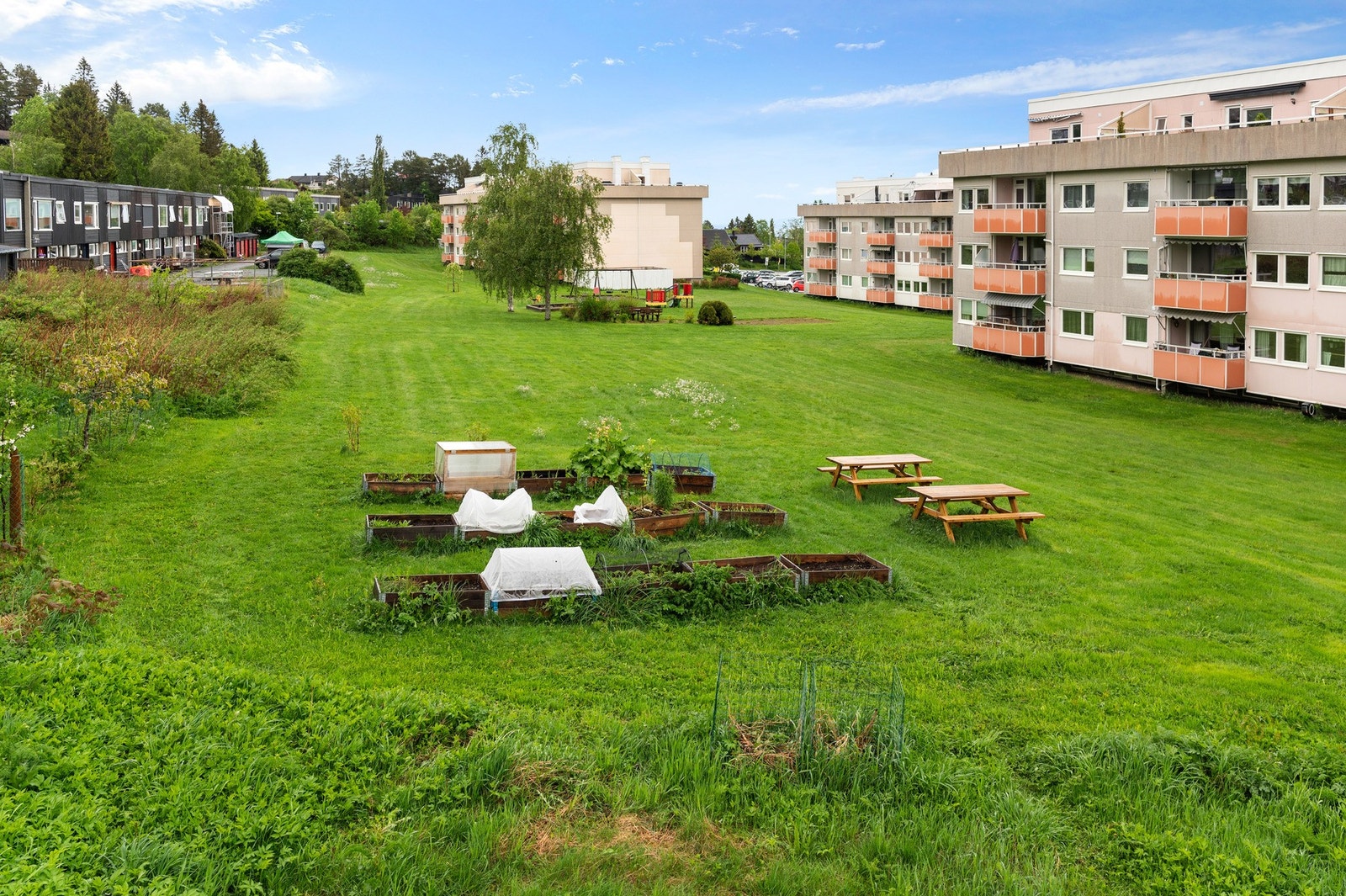 Flotte fellesarealer som er ypperlig å benytte seg av i sommerhalvåret. Galleribilde