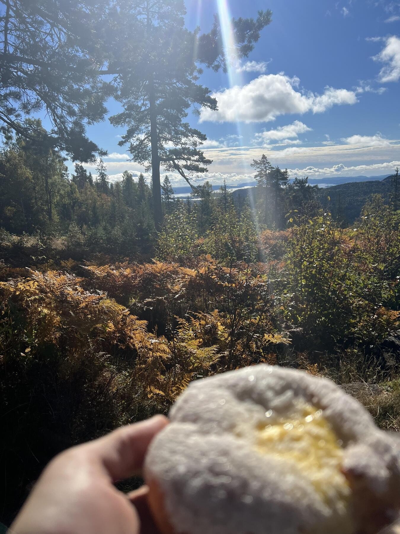 Bilder fra turdestinasjoner i nærheten ved Brunkollen Galleribilde