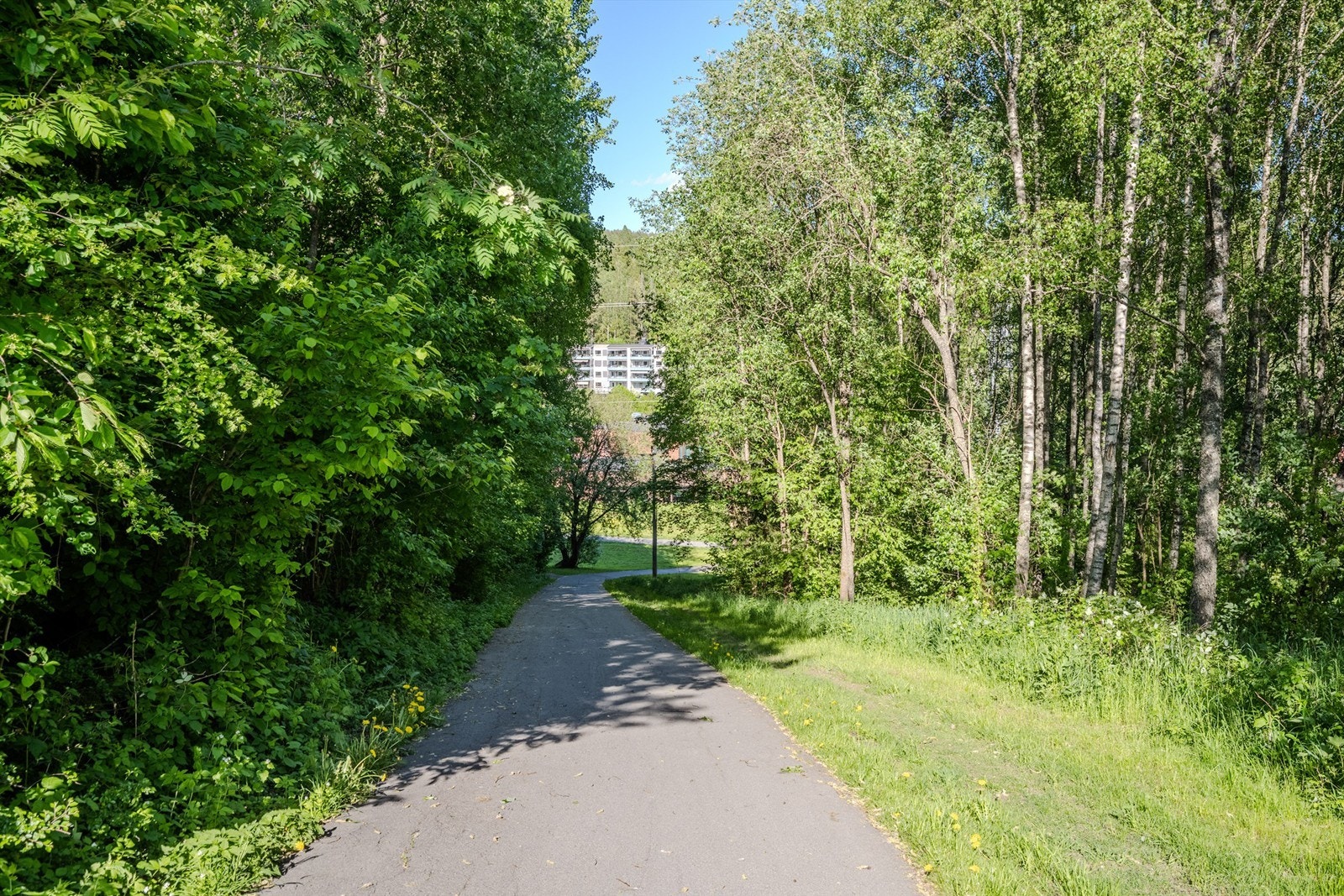 Området er stille og rolig, med umiddelbar nærhet til turterreng og grøntområder. Gangvei ned til Rustad skole. Galleribilde