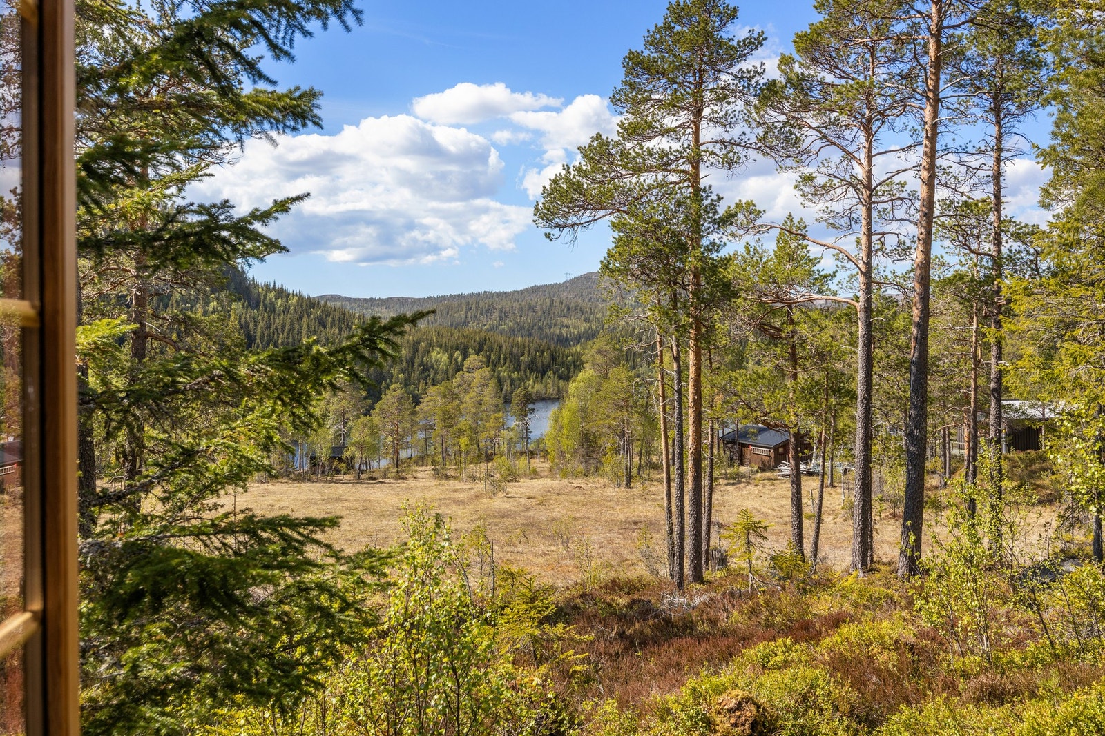 Vakker utsikt fra stuen Galleribilde
