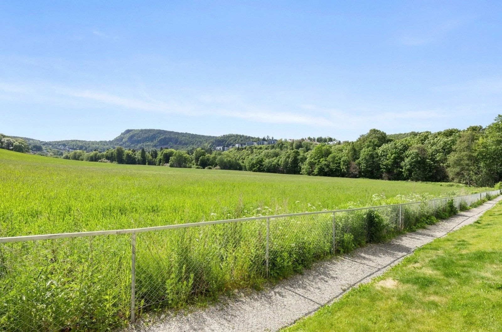 Tursti rett utenfor døren Galleribilde