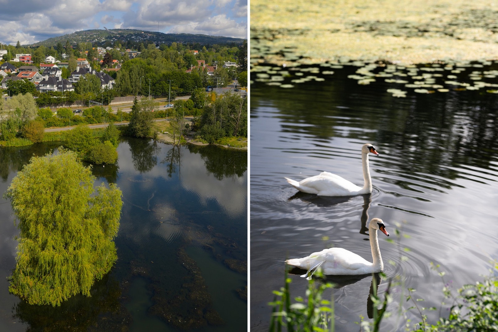 Smestaddammen er et glimrende utgangspunkt for turer mot både Marka og sjøen. Galleribilde