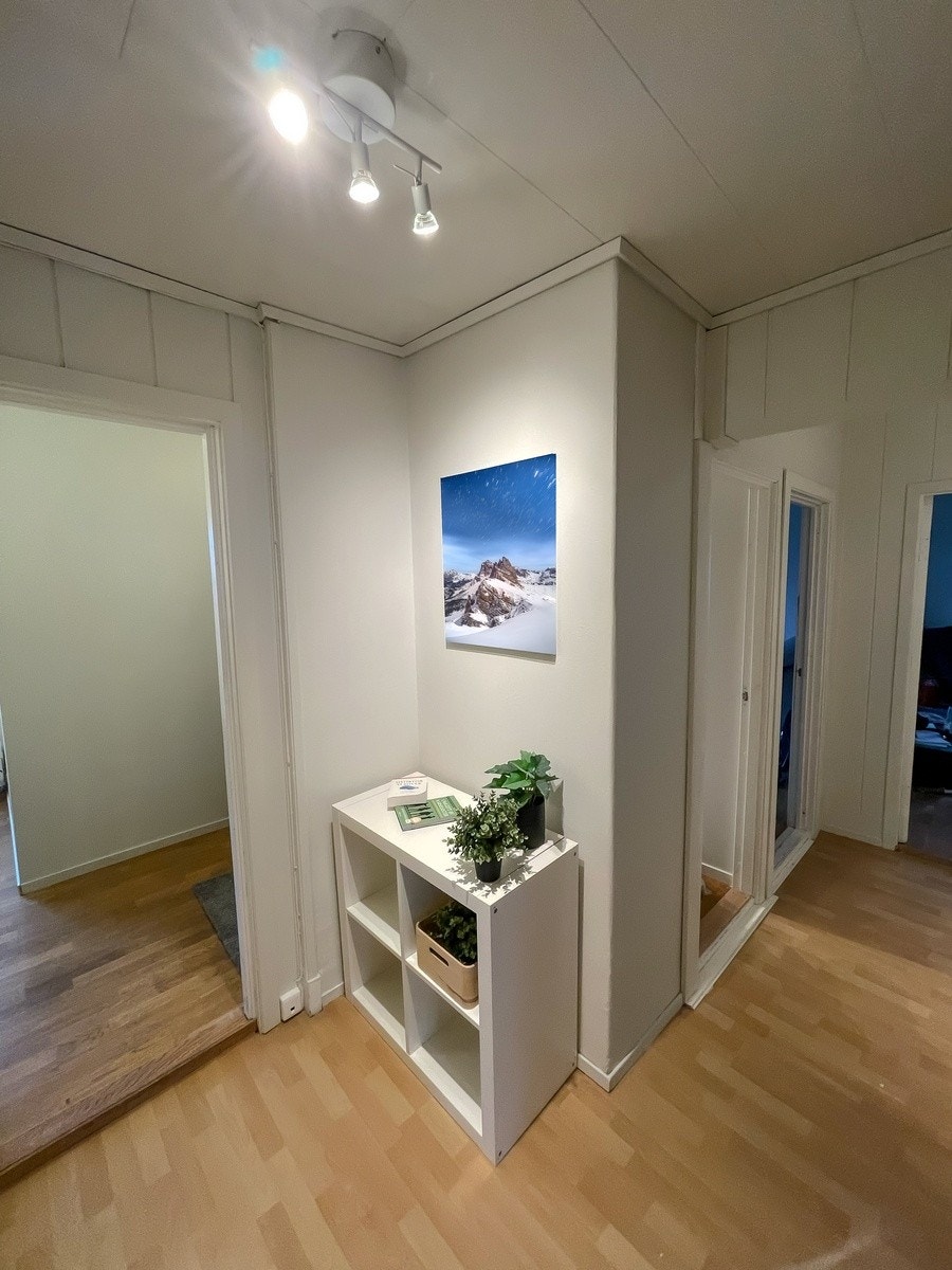 Gang Galleribilde