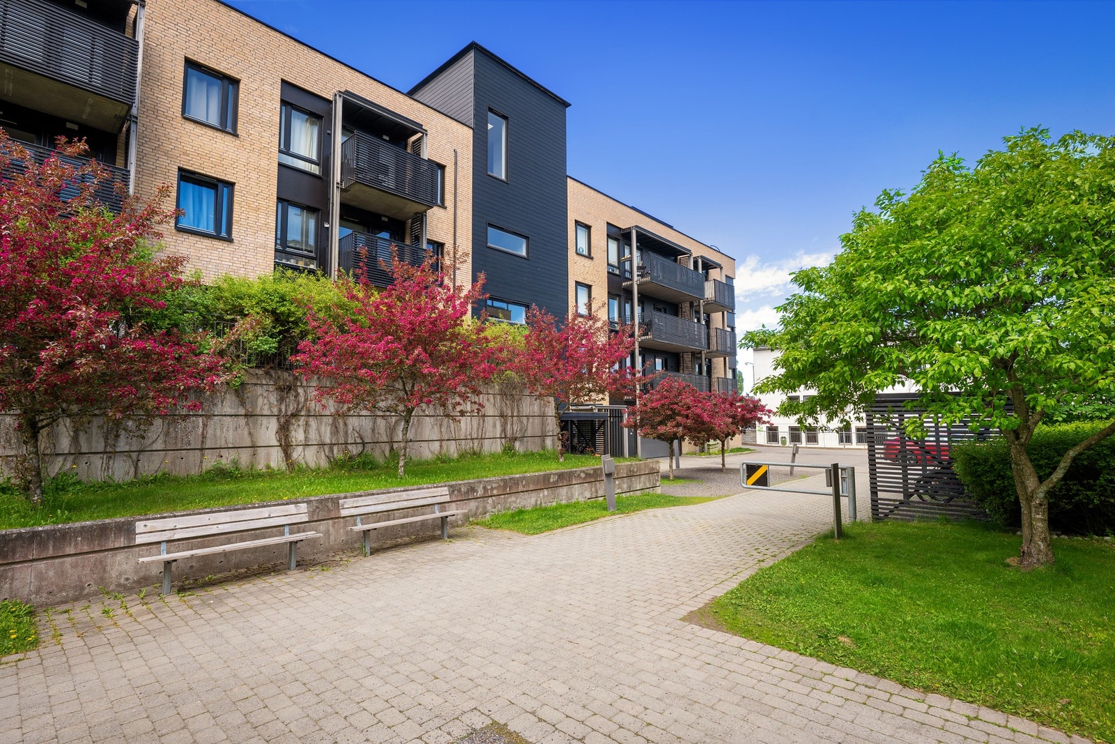 Koselig gårdstun Galleribilde