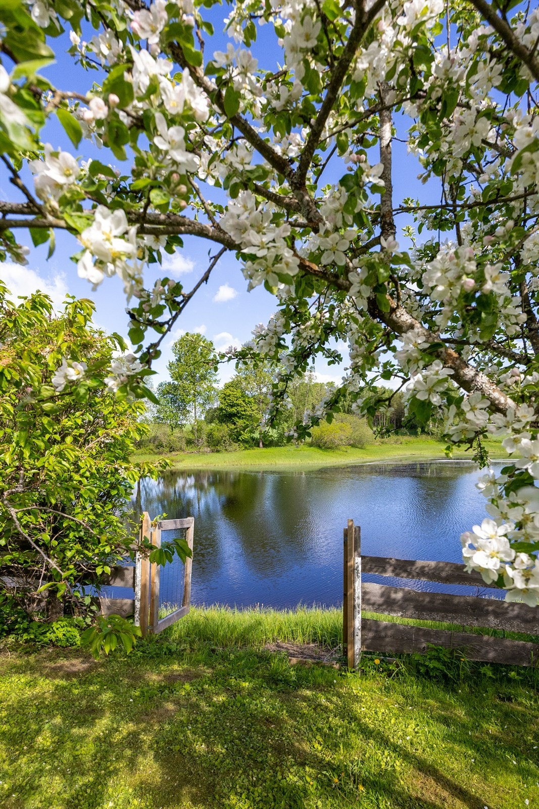 Like nedenfor eiendommen ligger dammen Borgentjern. Galleribilde