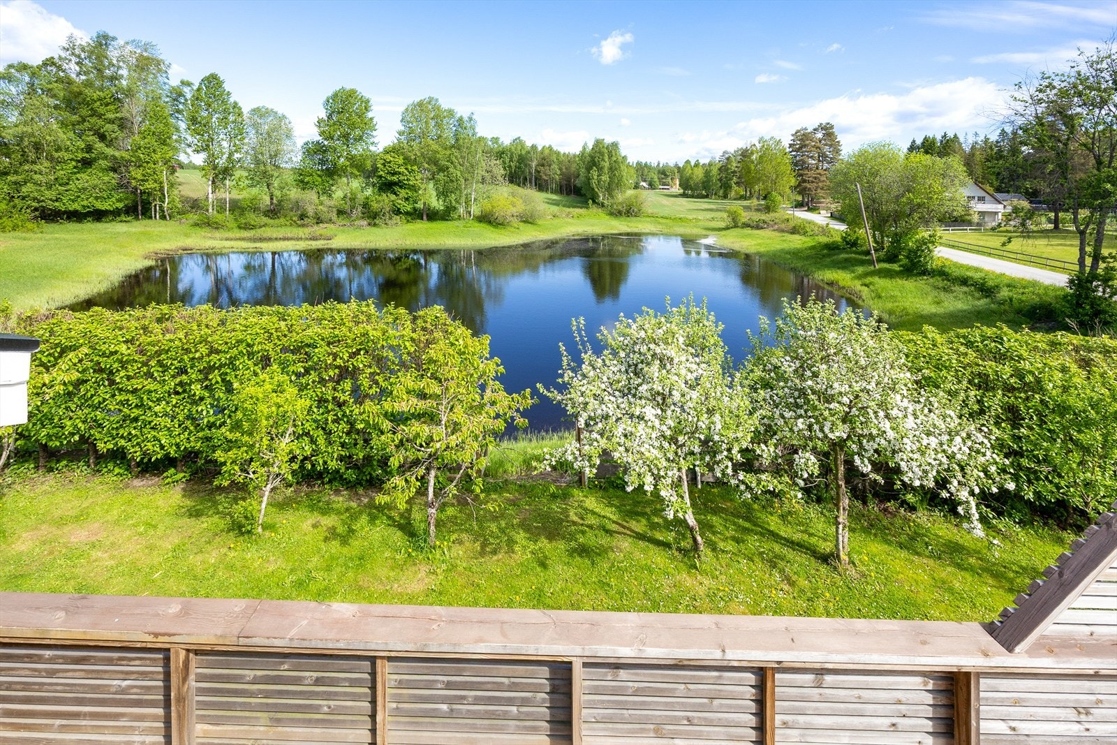 Utsikt fra terrassen mot hagen og tjernet på naboeiendommen. Galleribilde