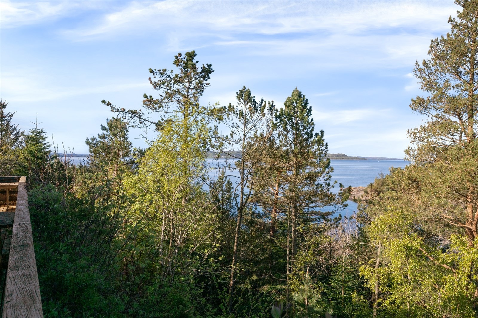 Furutrær og naturlig vegetasjon rammer inn utsikten. Galleribilde