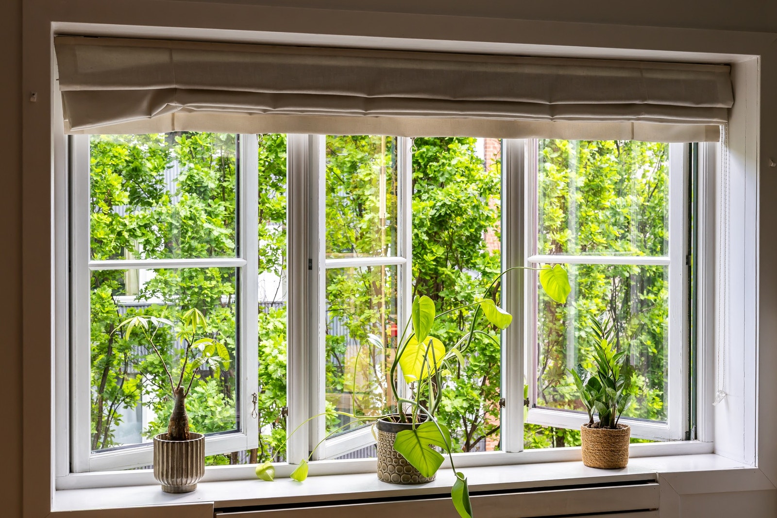 Dyp vinduskarm med flott utsyn. Galleribilde