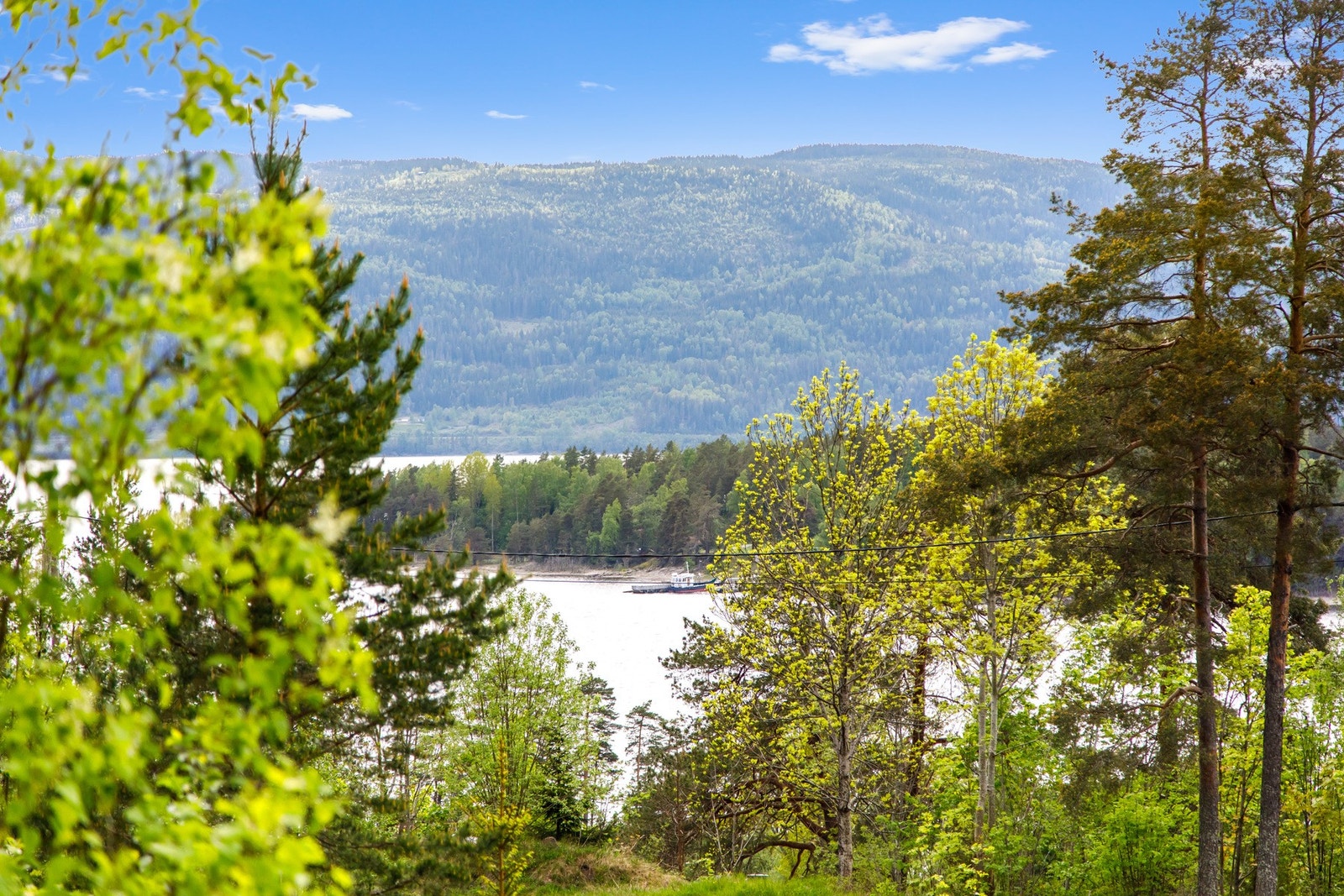 Tyrifjorden Galleribilde
