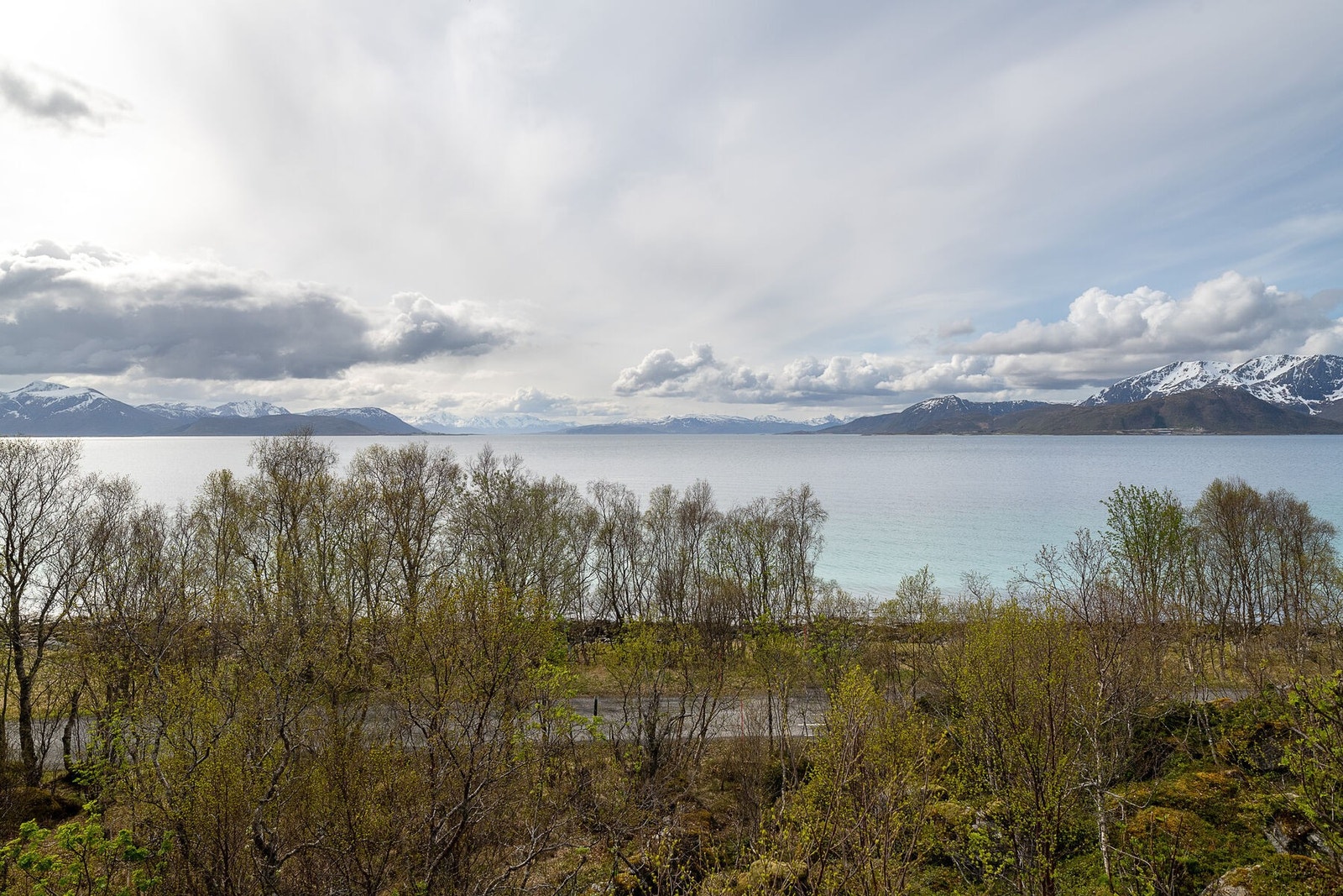 Nyt utsikten mot det skiftende lyset over fjorden. Galleribilde