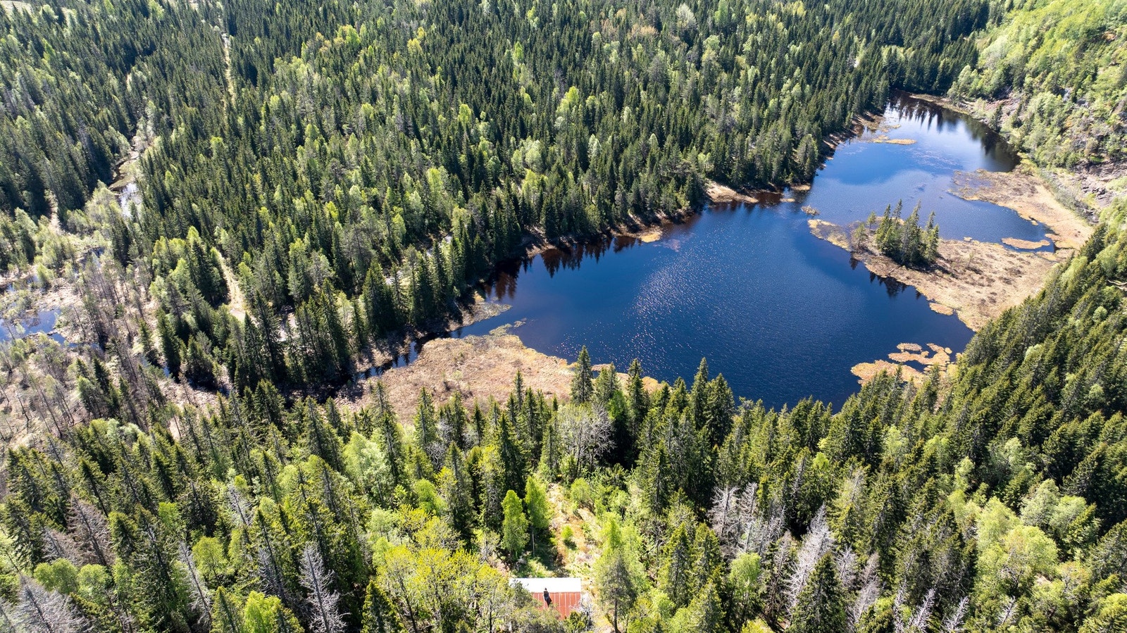 Hytta ligger idyllisk til ved Flåtavannet Galleribilde