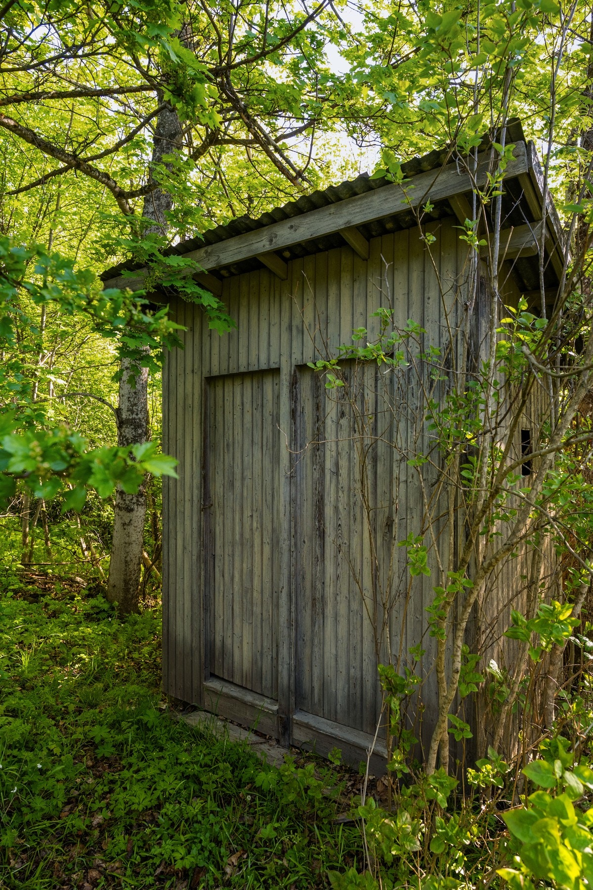 Gammelt skur på eiendommen - har det vært utedo her tidligere? Galleribilde