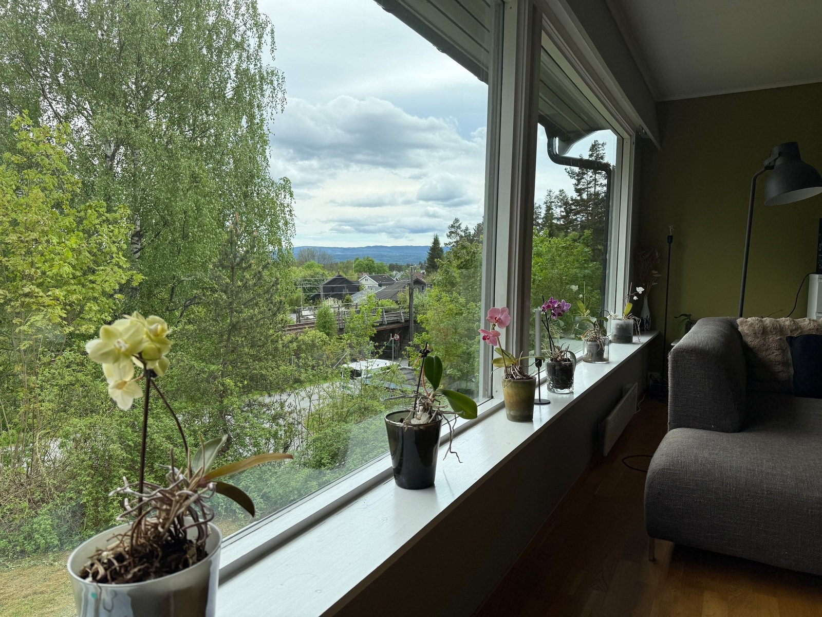 utsikt fra lesekroken Galleribilde