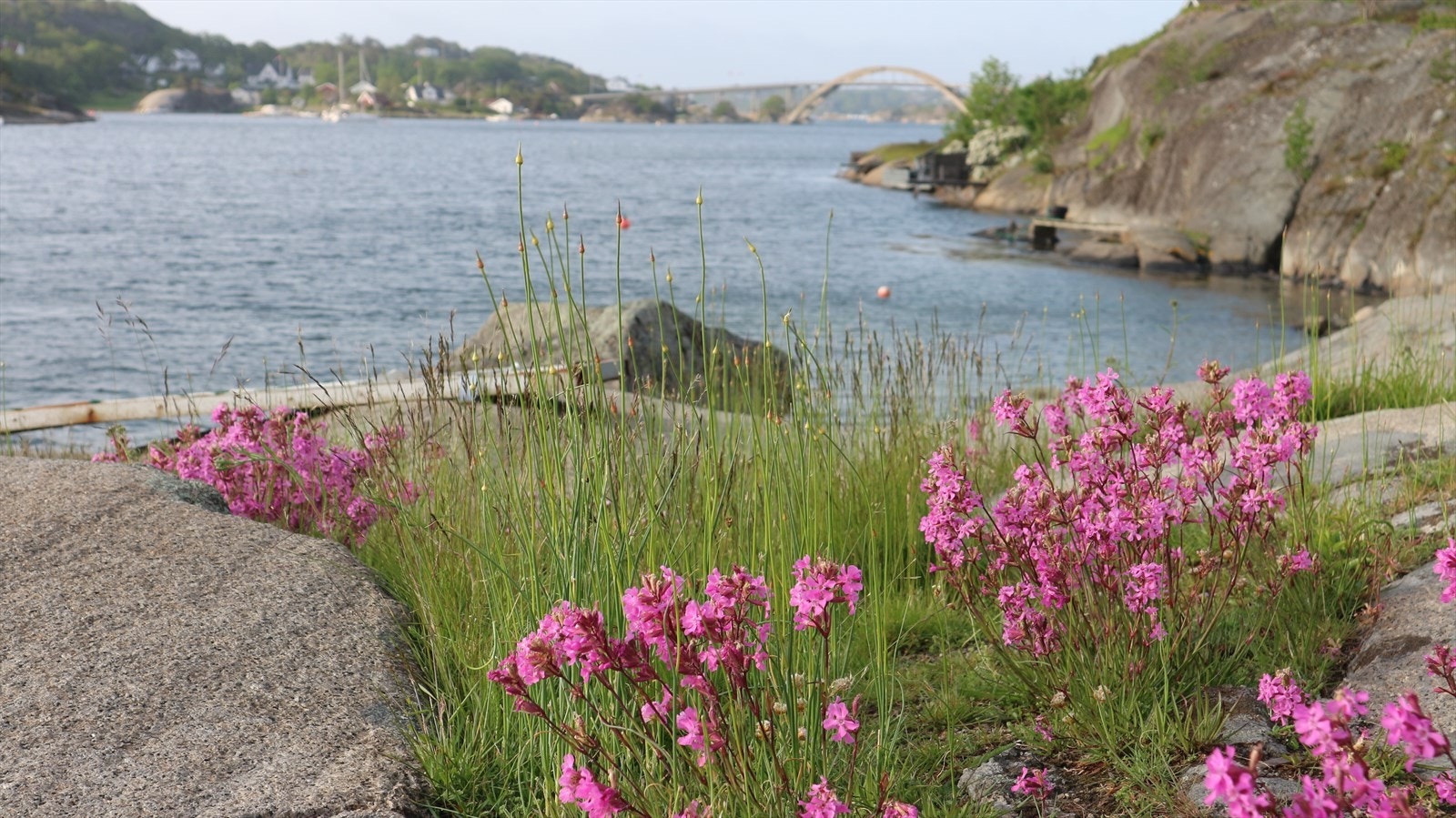 Med flott utsikt og fine naturopplevelser Galleribilde